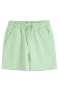 Brent Pastel green