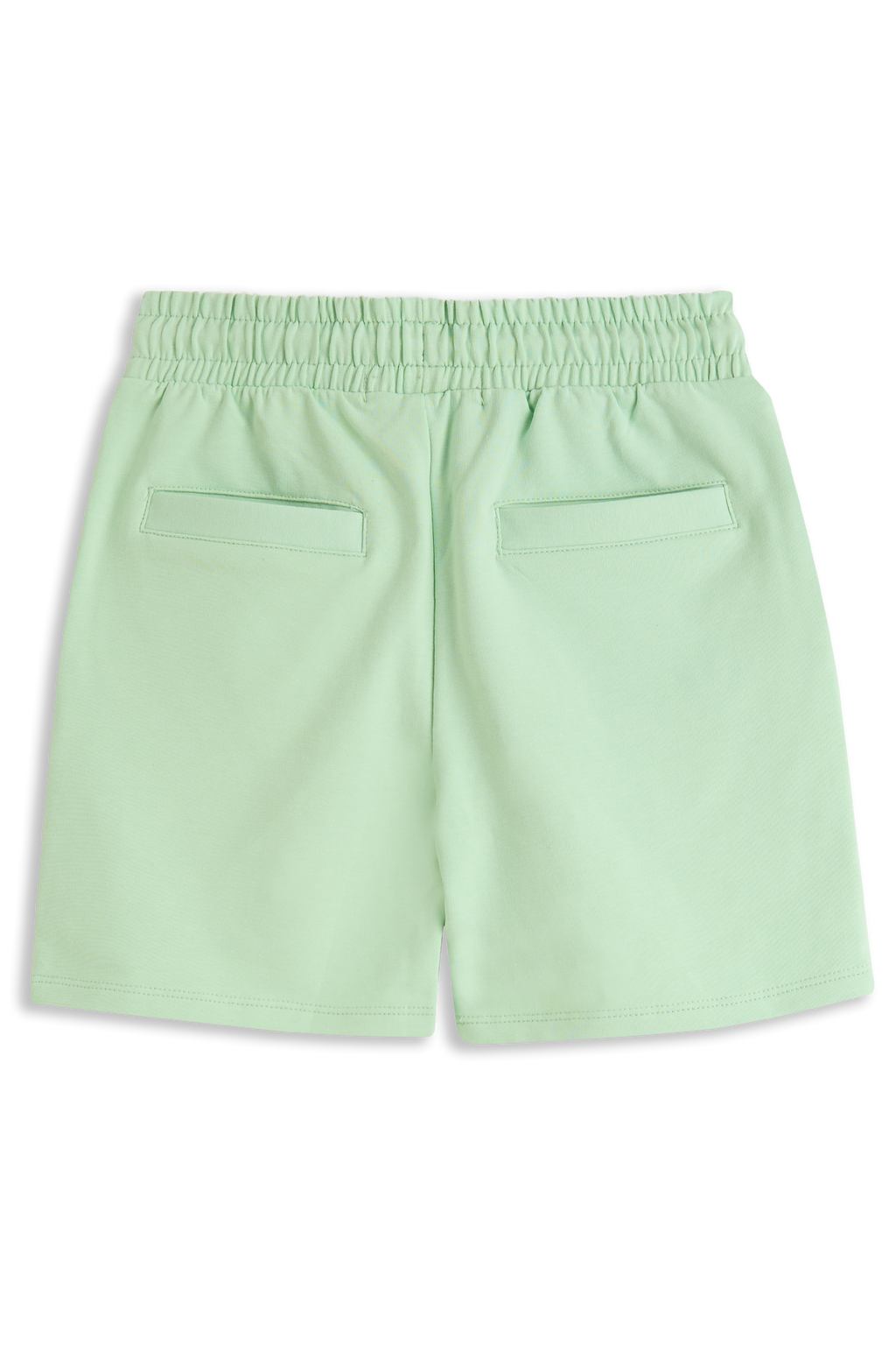 Brent Pastel green