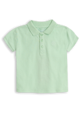 Dex Pastel green
