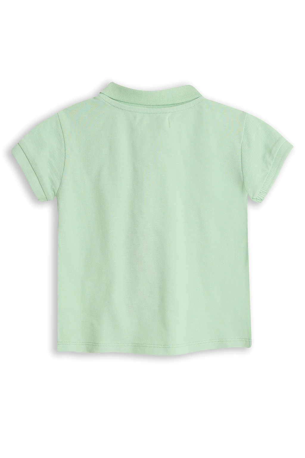 Dex Pastel green